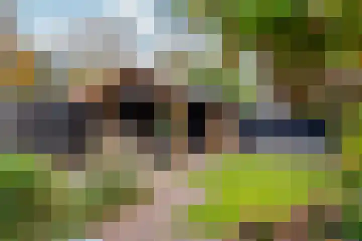 Dorpsstraat 50 Markenbinnen thumbnail 47