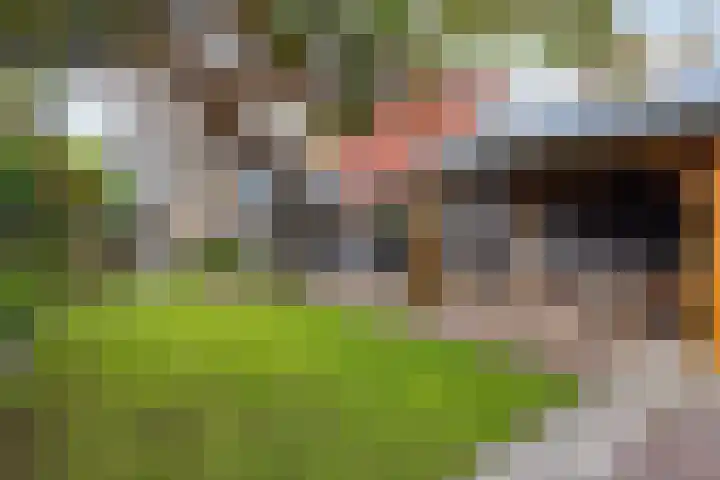 Dorpsstraat 50 Markenbinnen thumbnail 51