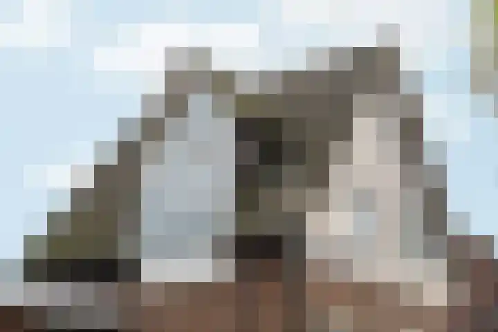 Dorpsstraat 50 Markenbinnen thumbnail 7