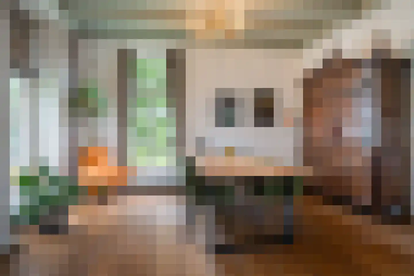 Dorpsstraat 50 Schalsum thumbnail 10