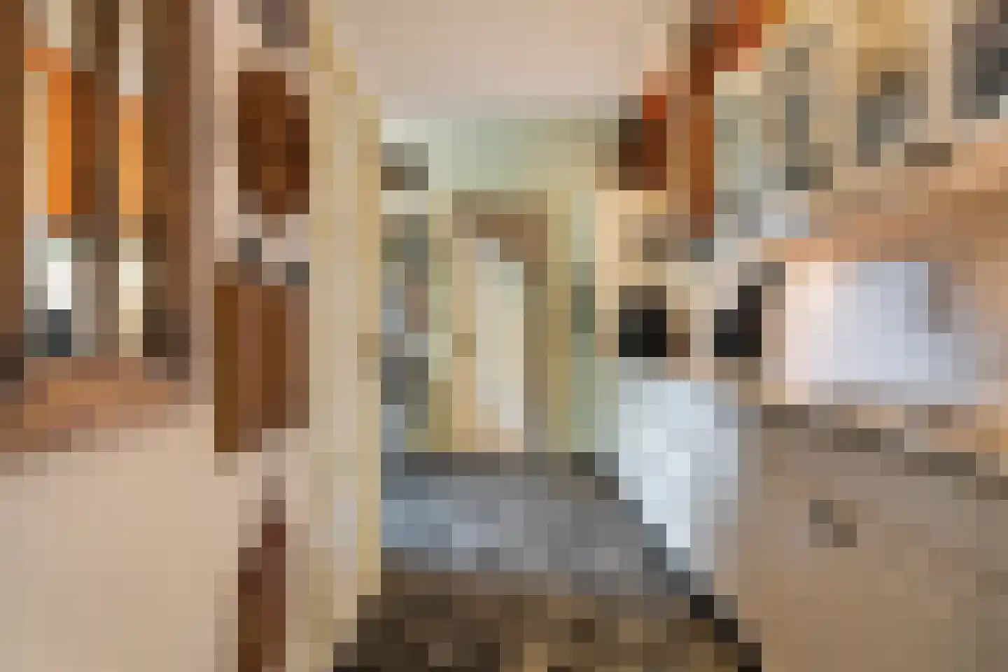 Dorpsstraat 50 Schalsum thumbnail 15