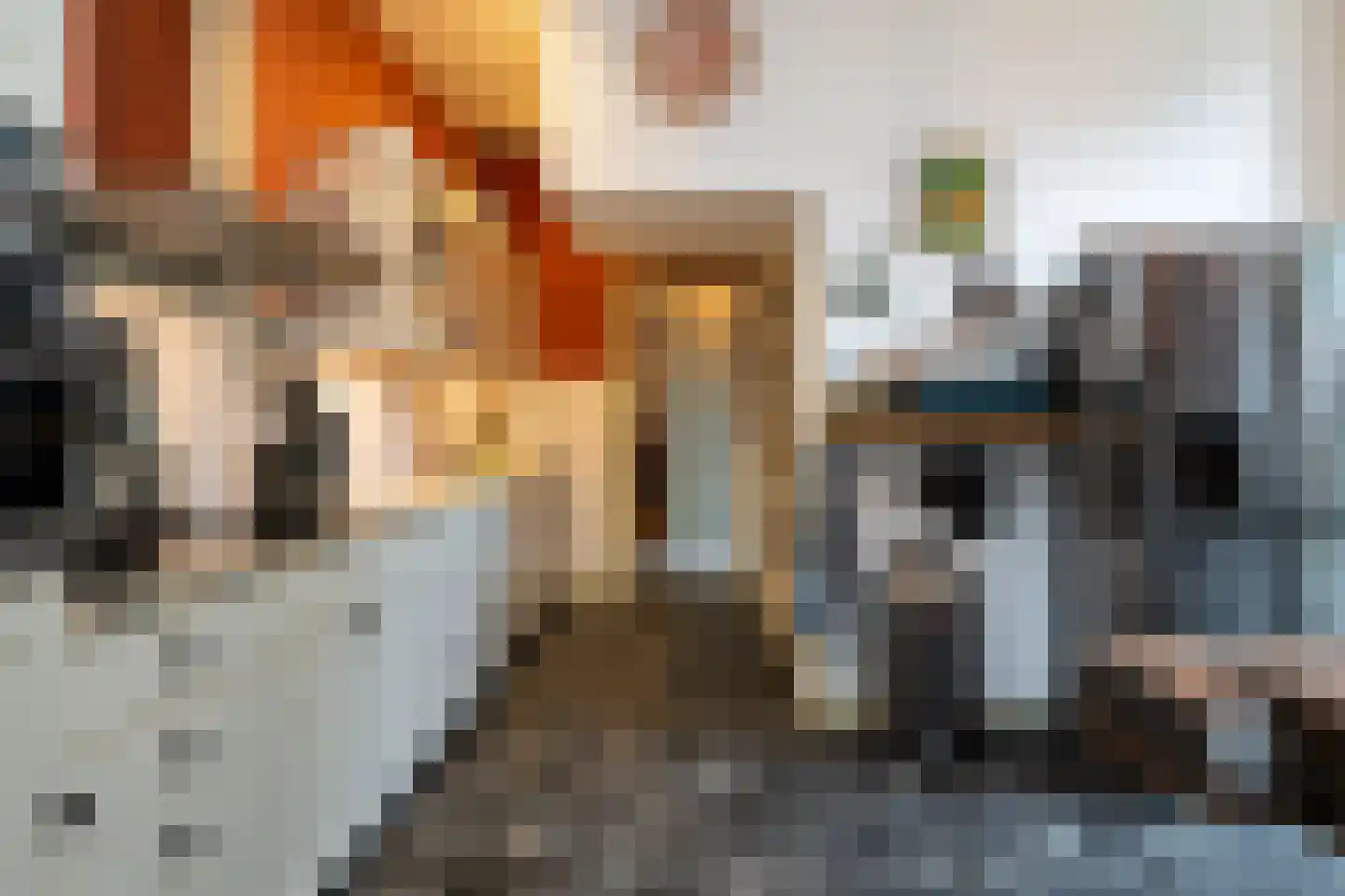Dorpsstraat 50 Schalsum thumbnail 18