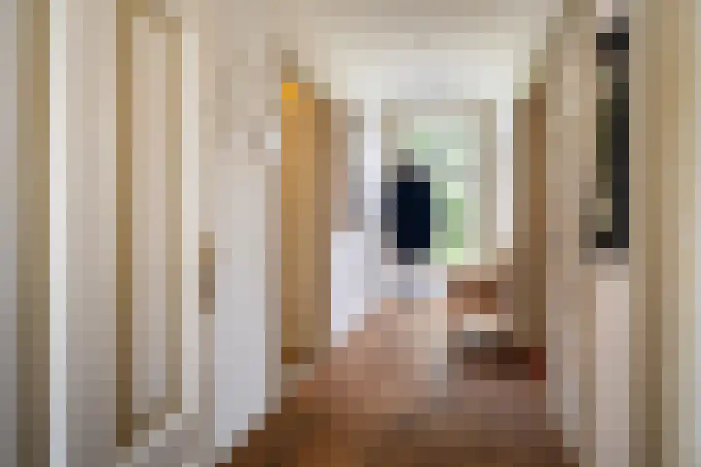 Dorpsstraat 50 Schalsum thumbnail 19
