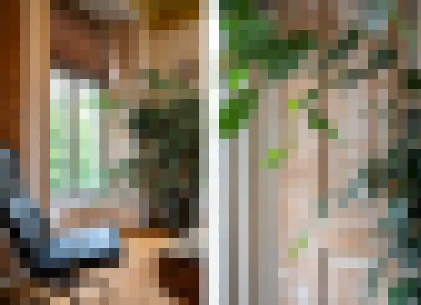 Dorpsstraat 50 Schalsum thumbnail 35