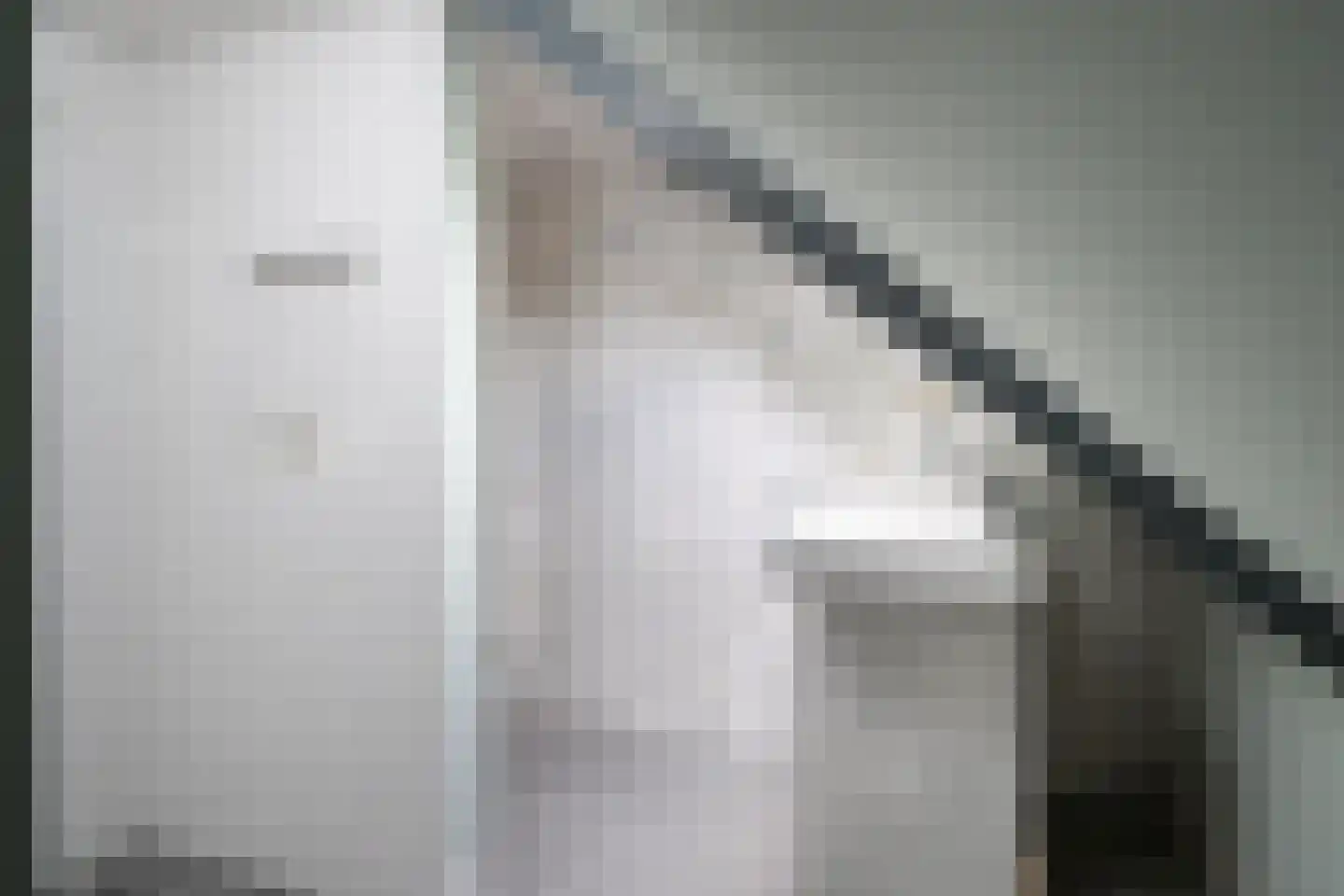 Dorpsstraat 50 Schalsum thumbnail 45