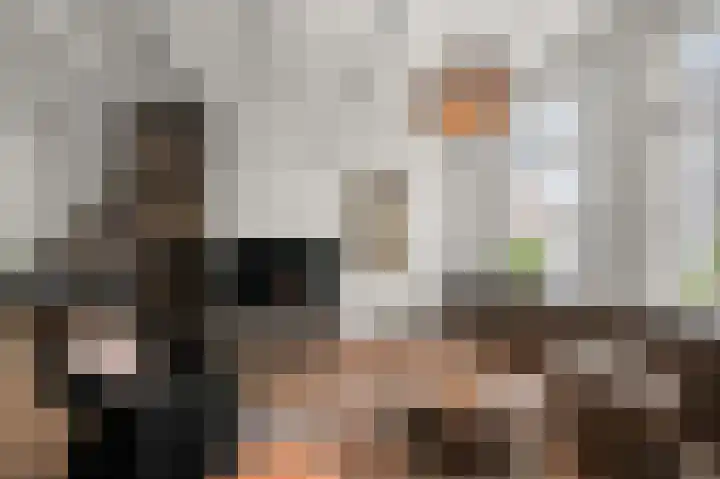 Dorpsstraat 506 Assendelft thumbnail 12