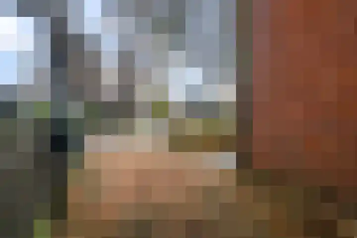 Dorpsstraat 506 Assendelft thumbnail 37