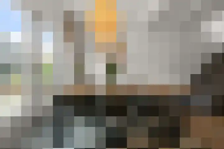 Dorpsstraat 506 Assendelft thumbnail 8