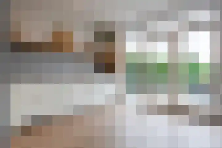 Dorpsstraat 507 Assendelft thumbnail 11