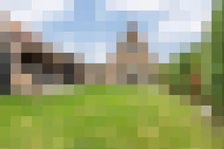 Dorpsstraat 507 Assendelft thumbnail 16