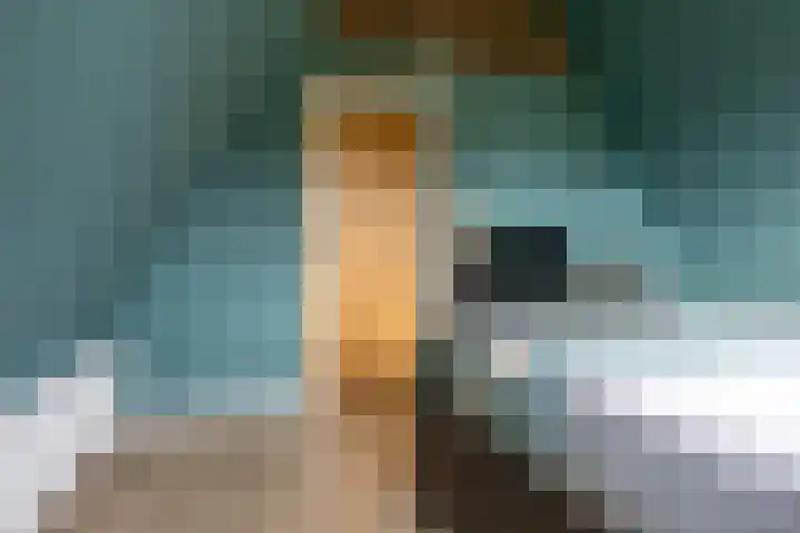 Dorpsstraat 507 Assendelft thumbnail 32