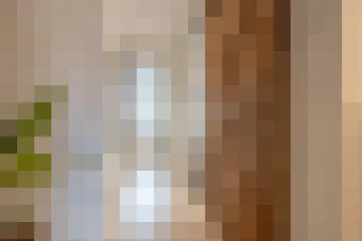 Dorpsstraat 507 Assendelft thumbnail 33