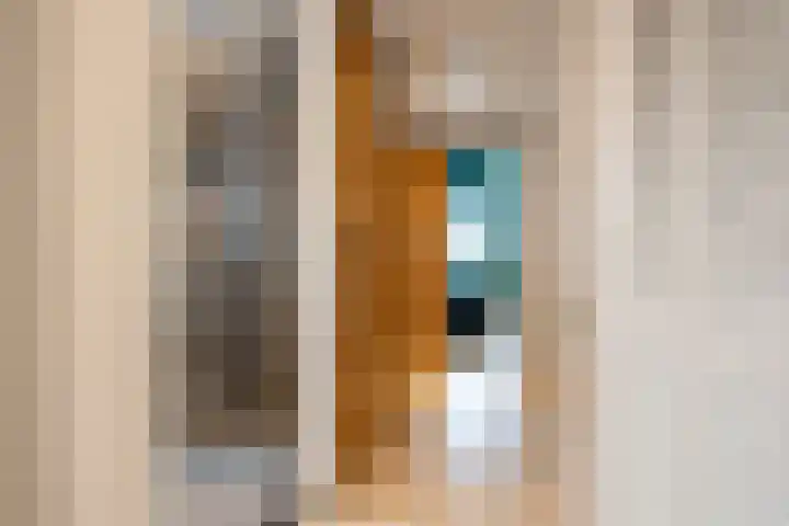 Dorpsstraat 507 Assendelft thumbnail 34