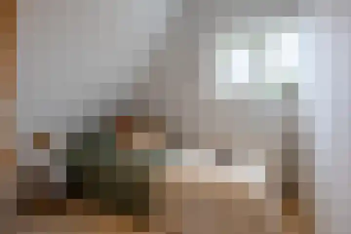 Dorpsstraat 507 Assendelft thumbnail 35