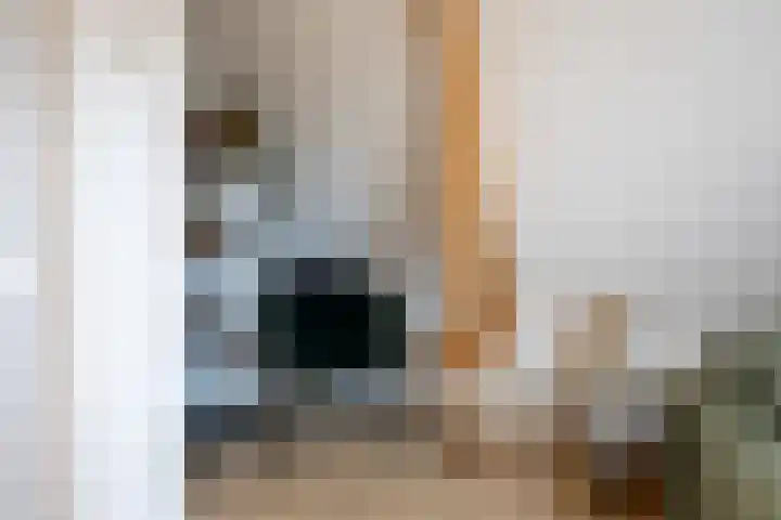 Dorpsstraat 507 Assendelft thumbnail 36