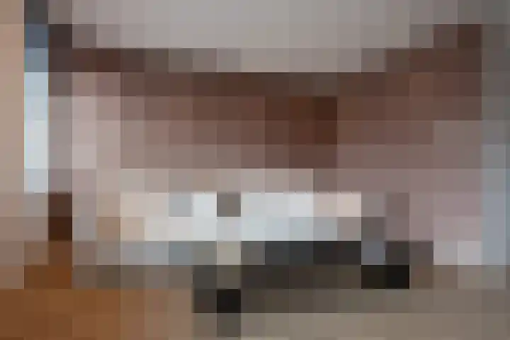 Dorpsstraat 507 Assendelft thumbnail 4