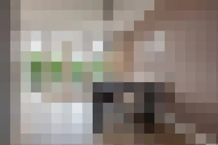 Dorpsstraat 507 Assendelft thumbnail 7