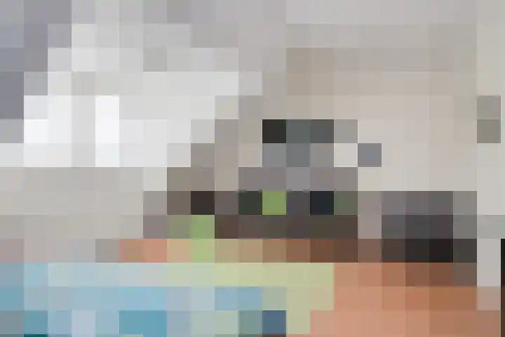 Dorpsstraat 51 A Halle thumbnail 35