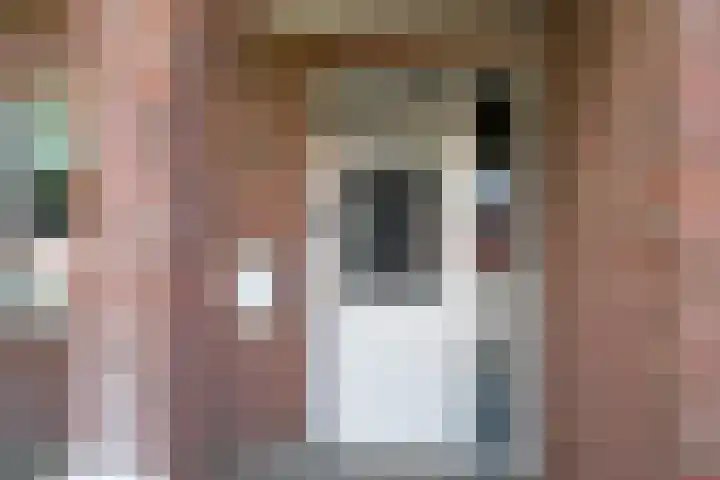 Dorpsstraat 51 A Halle thumbnail 6