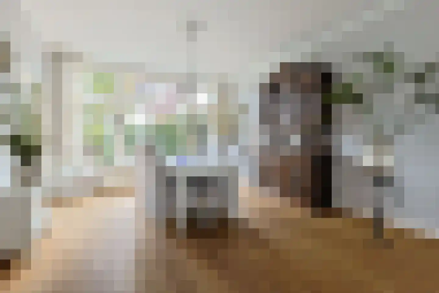 Dorpsstraat 51 Aarlanderveen thumbnail 26