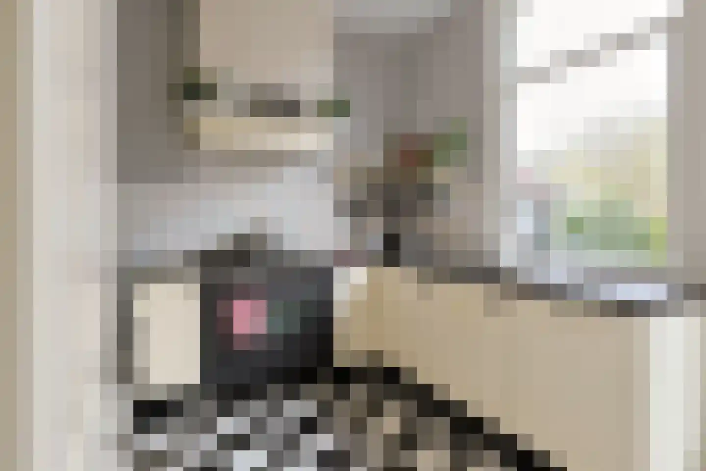 Dorpsstraat 51 Aarlanderveen thumbnail 33
