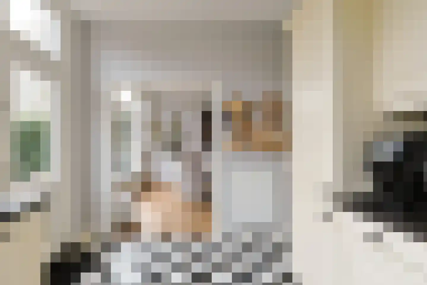 Dorpsstraat 51 Aarlanderveen thumbnail 35