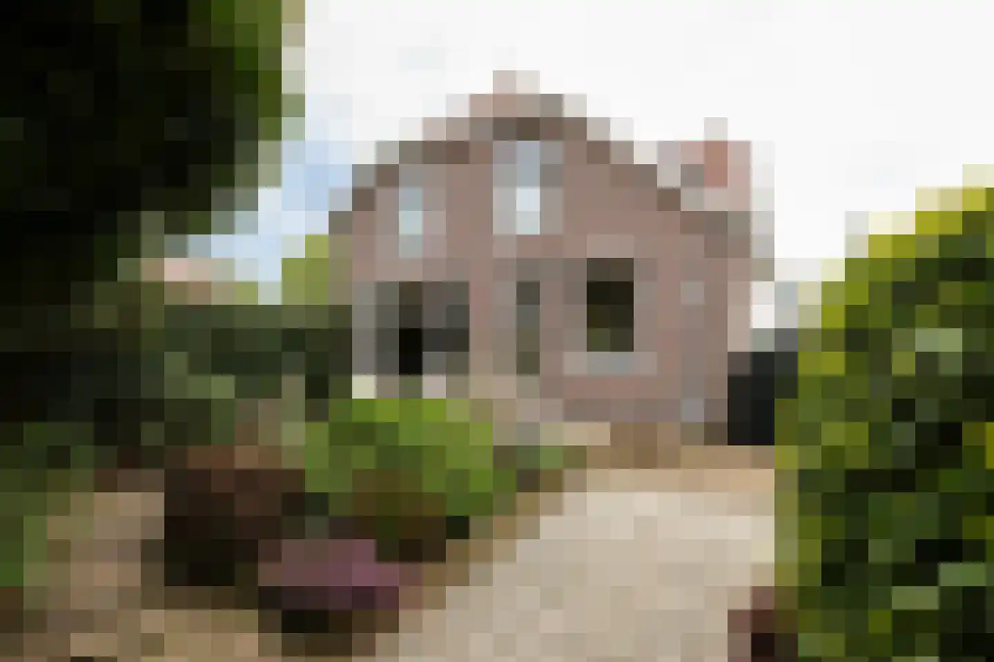 Dorpsstraat 51 Aarlanderveen thumbnail 59