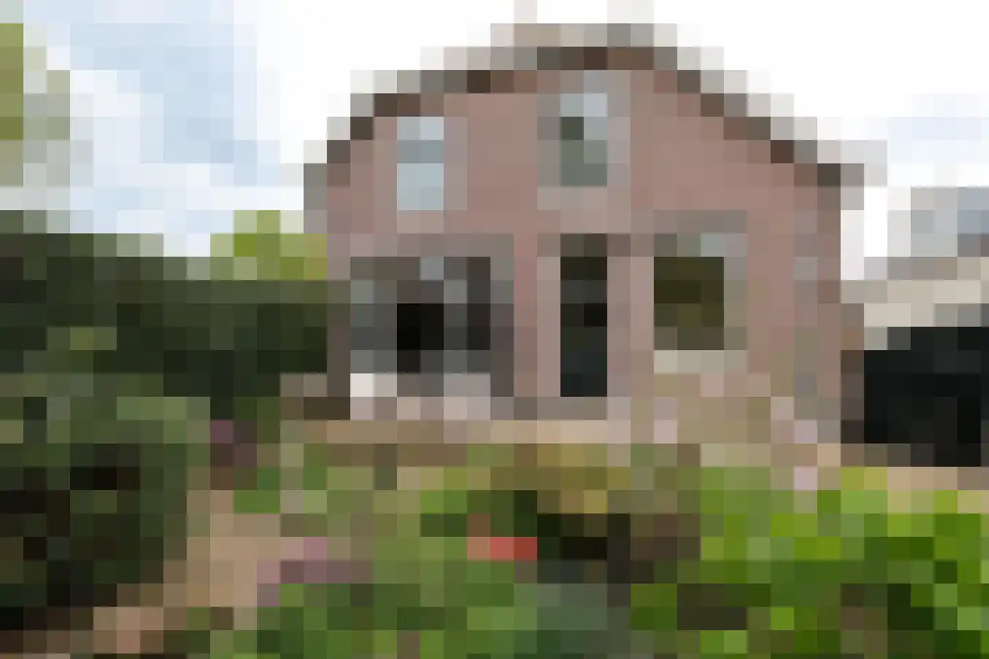 Dorpsstraat 51 Aarlanderveen thumbnail 60