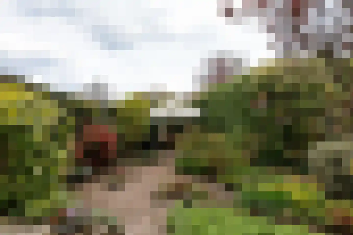 Dorpsstraat 51 Aarlanderveen thumbnail 67
