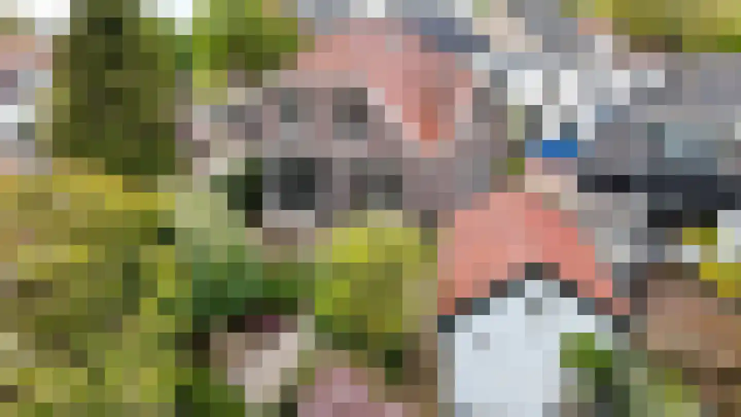 Dorpsstraat 51 Aarlanderveen thumbnail 76