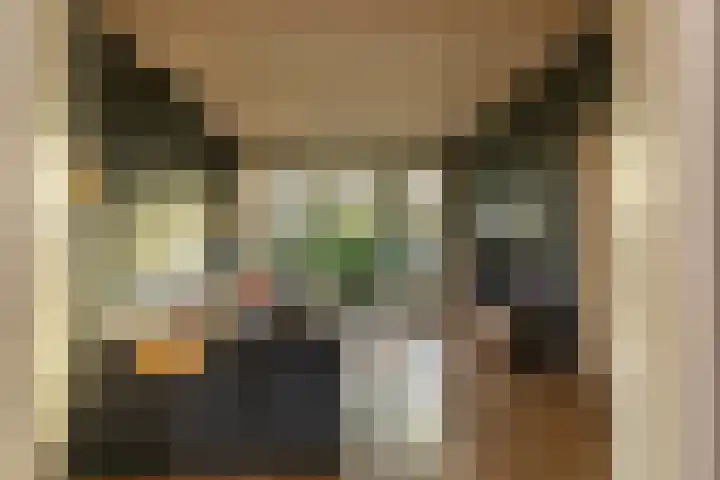 Dorpsstraat 51 Kattendijke thumbnail 28