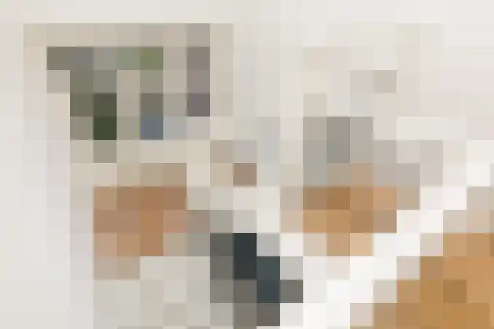 Dorpsstraat 51 Kattendijke thumbnail 36