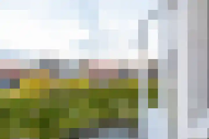 Dorpsstraat 51 Kattendijke thumbnail 52