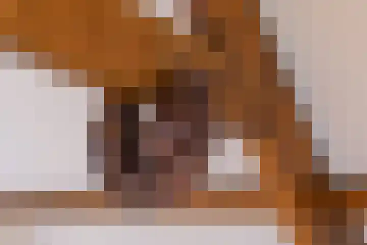 Dorpsstraat 51 Kattendijke thumbnail 69