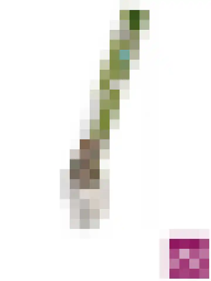 Dorpsstraat 51 Kattendijke thumbnail 71