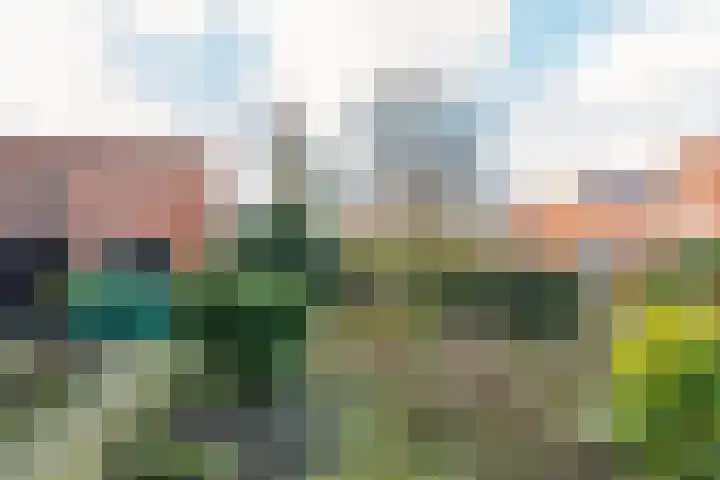 Dorpsstraat 51 Kattendijke thumbnail 77