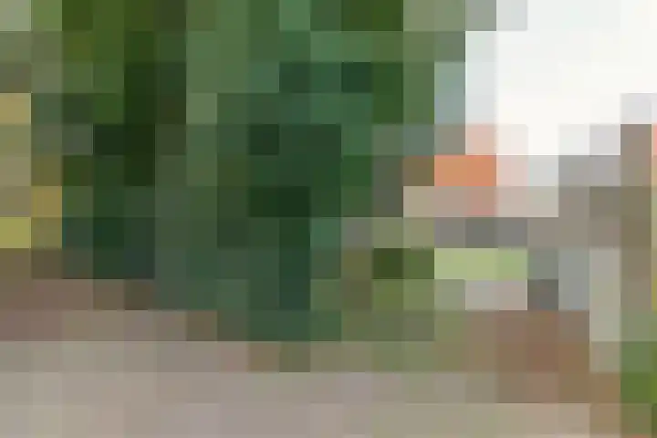 Dorpsstraat 51 Kattendijke thumbnail 82