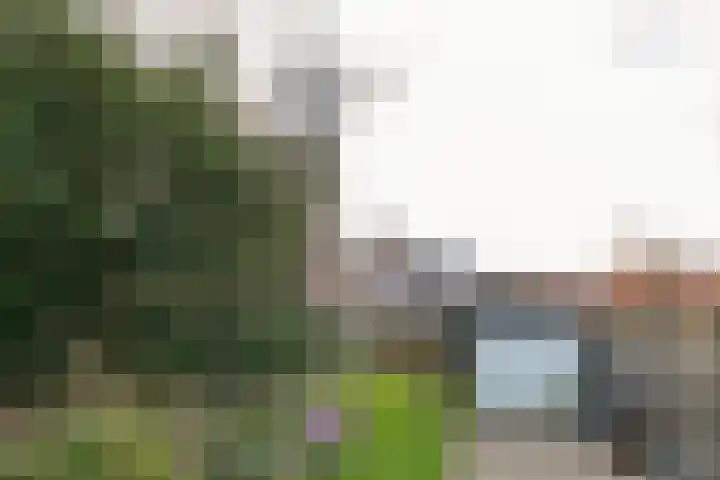 Dorpsstraat 51 Kattendijke thumbnail 84