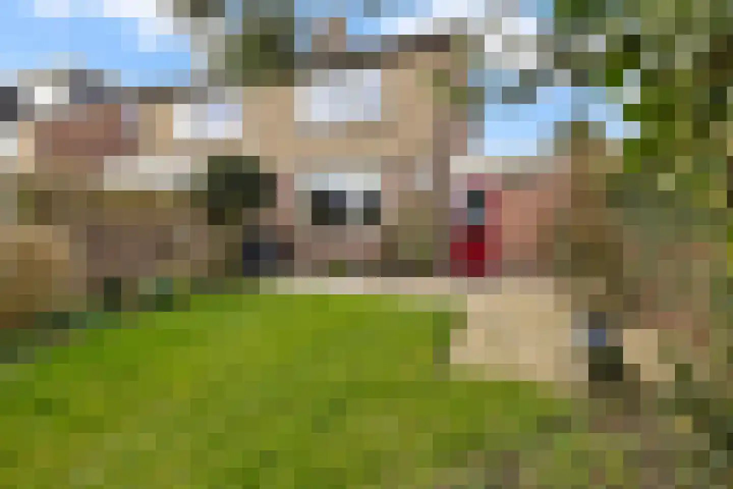 Dorpsstraat 52 a Sint Maarten thumbnail 26