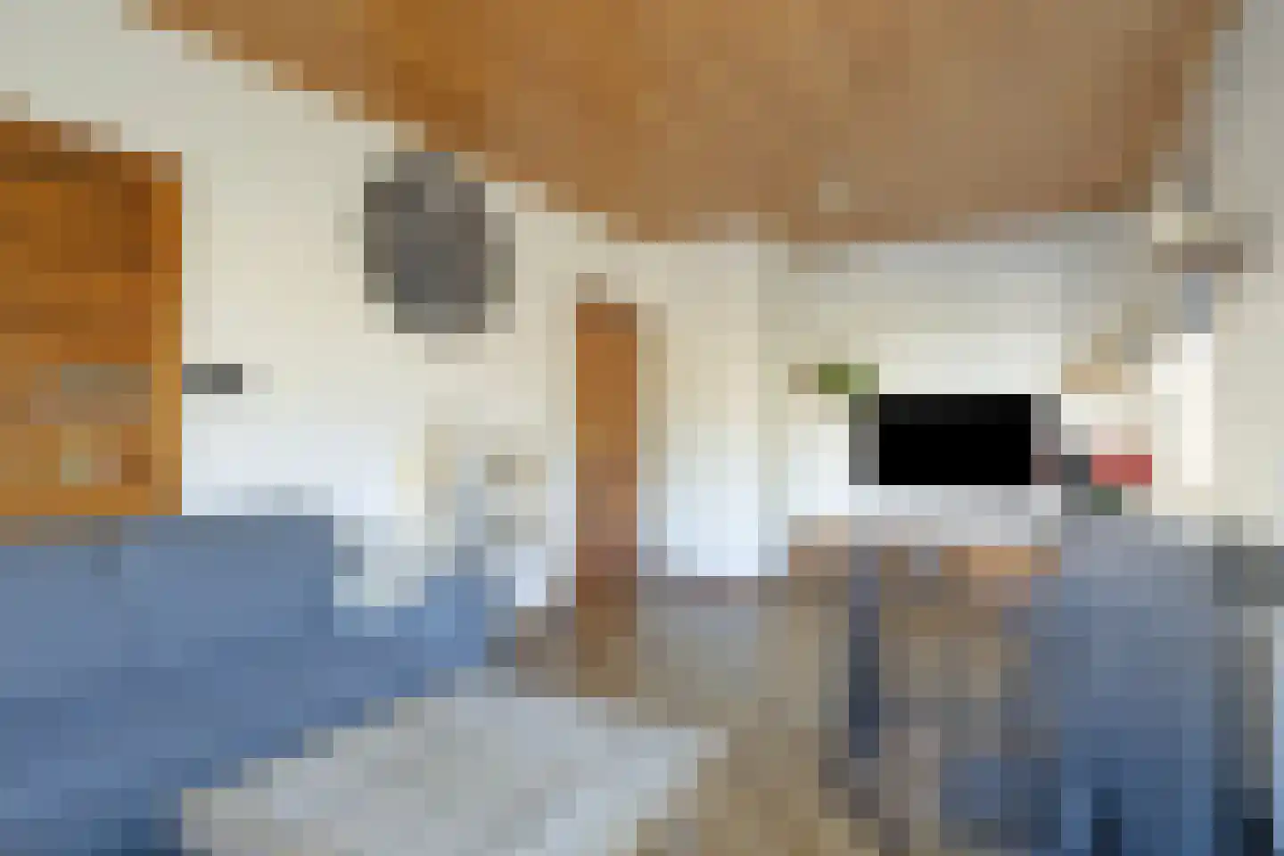 Dorpsstraat 52 Beugen thumbnail 10