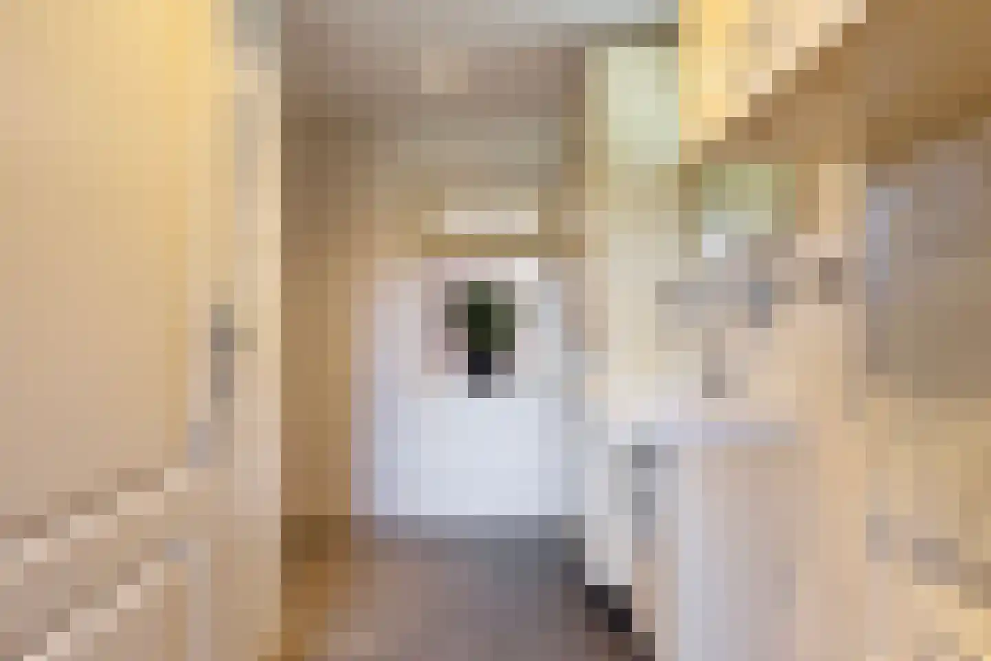 Dorpsstraat 52 Beugen thumbnail 17