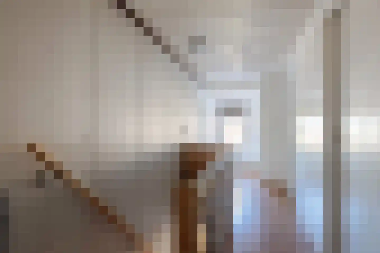 Dorpsstraat 52 Beugen thumbnail 22