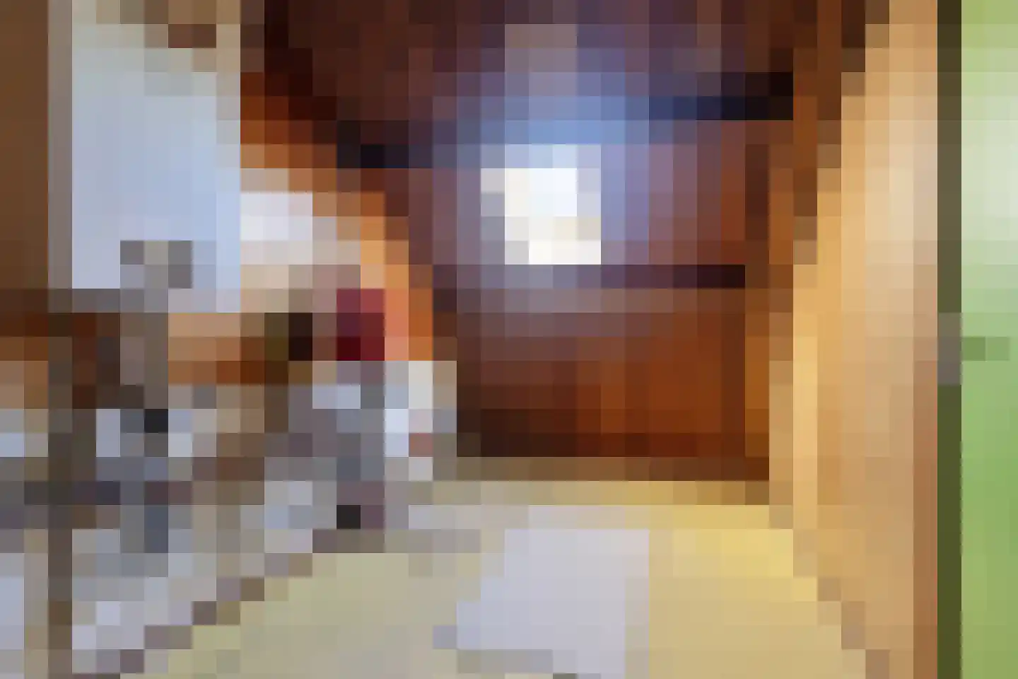 Dorpsstraat 52 Beugen thumbnail 30