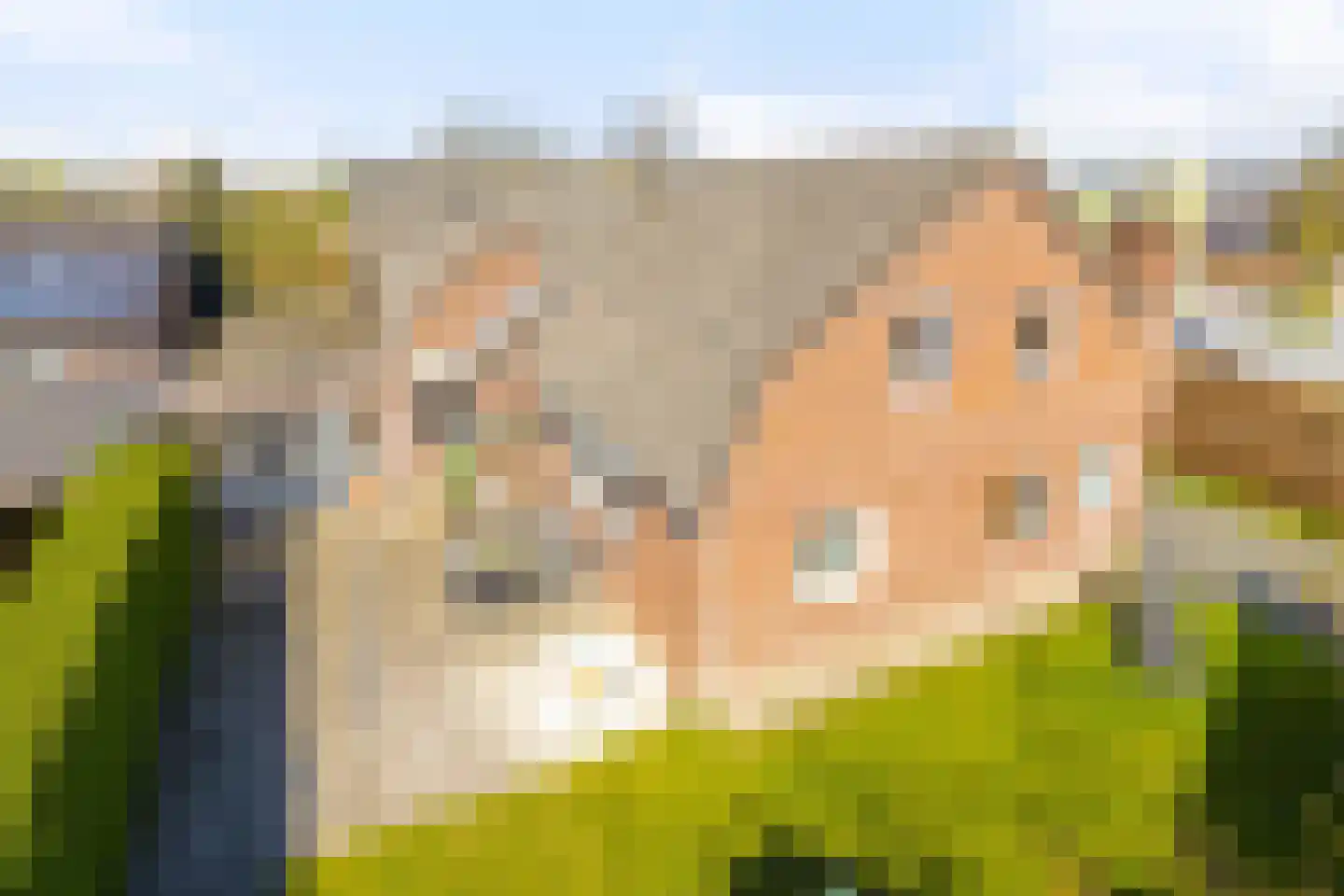 Dorpsstraat 52 Beugen thumbnail 37