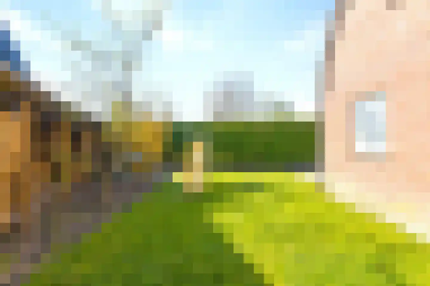 Dorpsstraat 52 Beugen thumbnail 40