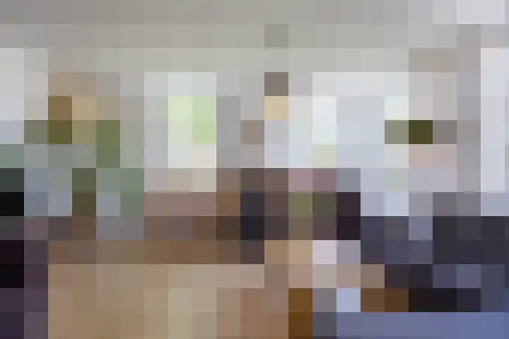 Dorpsstraat 52 Den Horn thumbnail 12