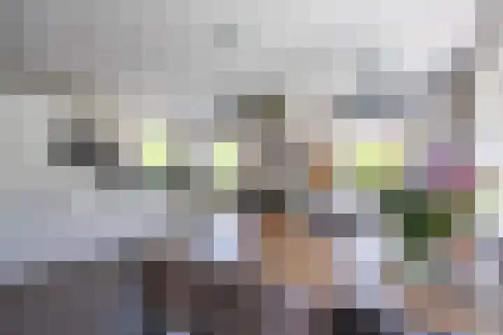 Dorpsstraat 52 Den Horn thumbnail 17