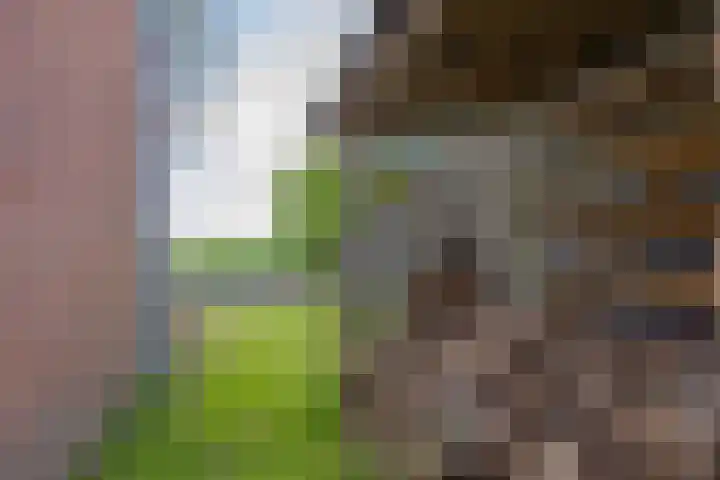 Dorpsstraat 52 Den Horn thumbnail 33