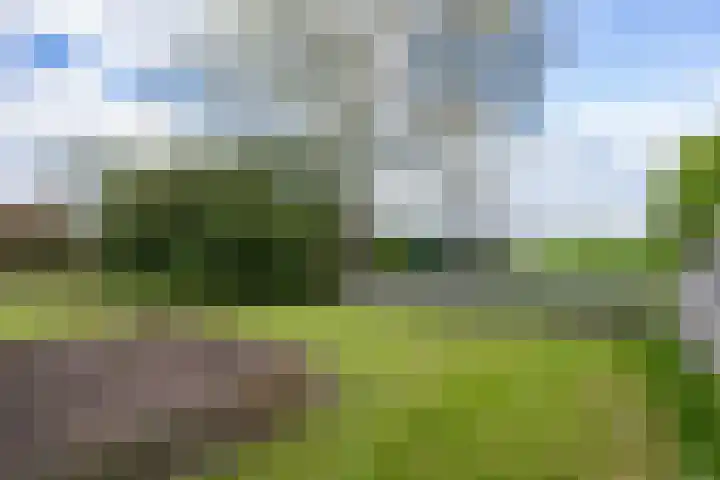 Dorpsstraat 52 Den Horn thumbnail 34