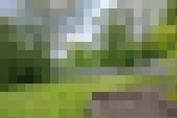 Dorpsstraat 52 Den Horn thumbnail 35